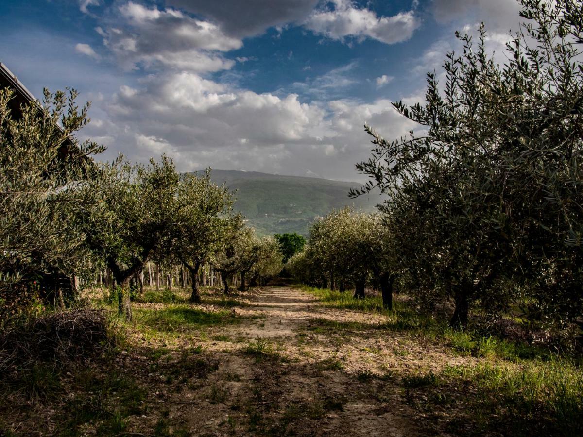 Country House Casale Centurione Villa Manoppello ภายนอก รูปภาพ
